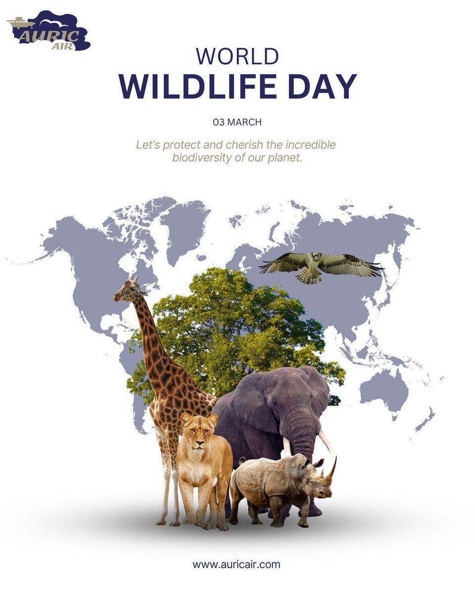 Auric Air tweet media