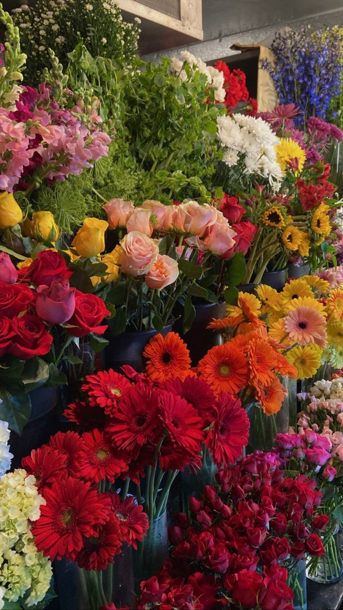 Soft Petals tweet media