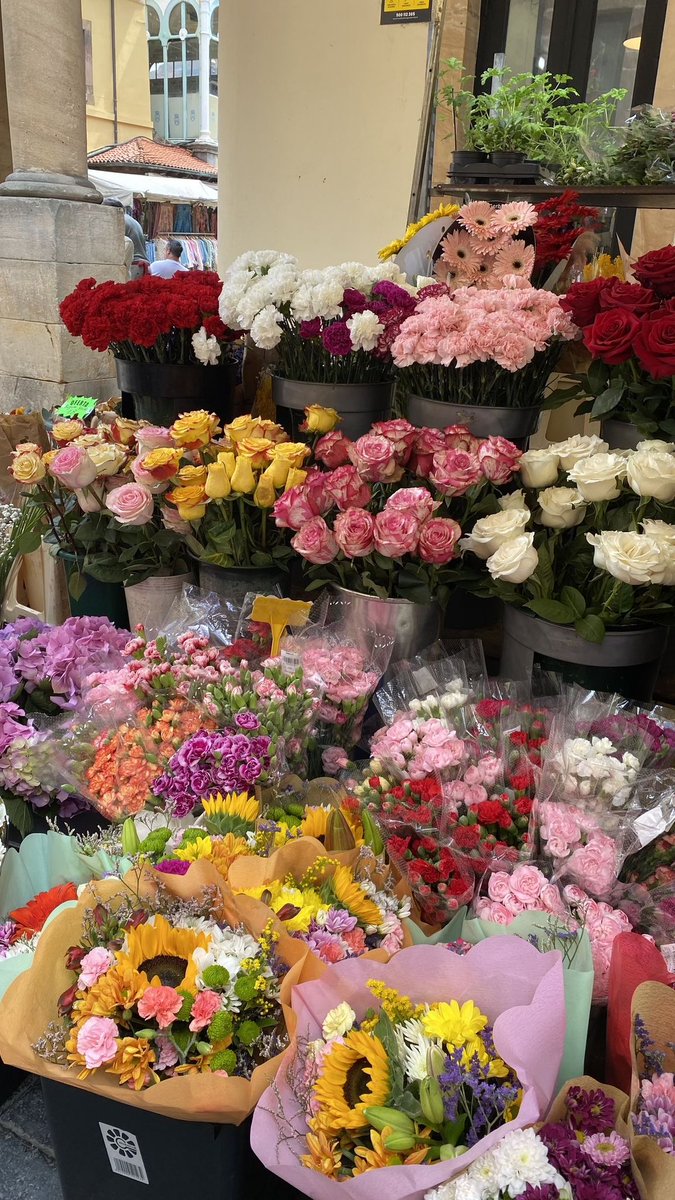 Soft Petals tweet media