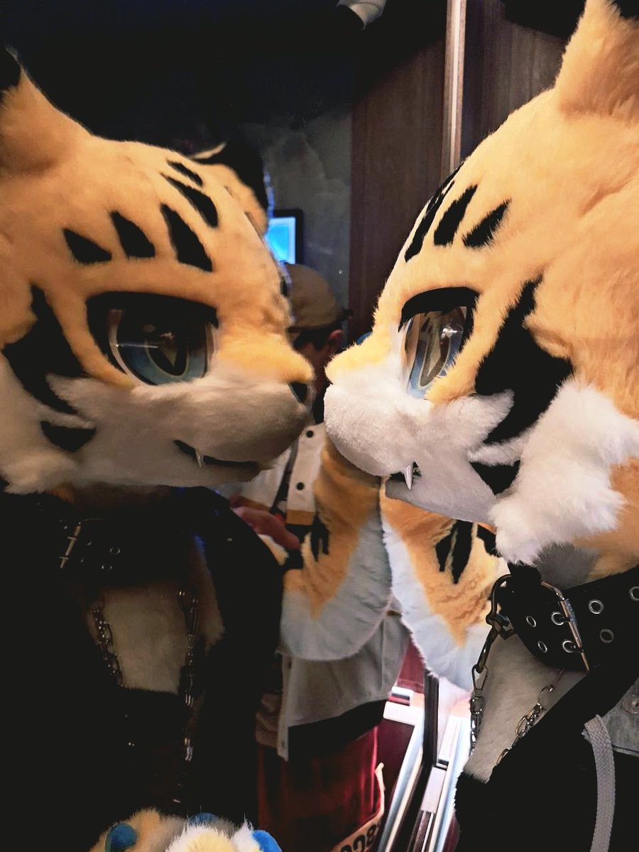 明弦Meigen➡UTFG2026 tweet media