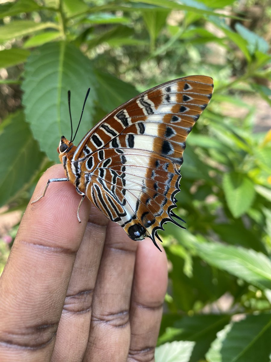 Good morning from Nairobi Kenya. 
A very brautiful calm morning here. 

My goal today is to make global and borderless connections, friends &amp; followers whom shall grow together, make money, network as we learn good healthy habits, Ai &amp; Finance and Technology.