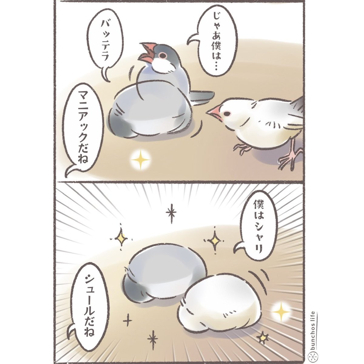 ひな祭りなので可愛い手まり寿司をお届け✨
#文鳥 
#4コマ漫画 