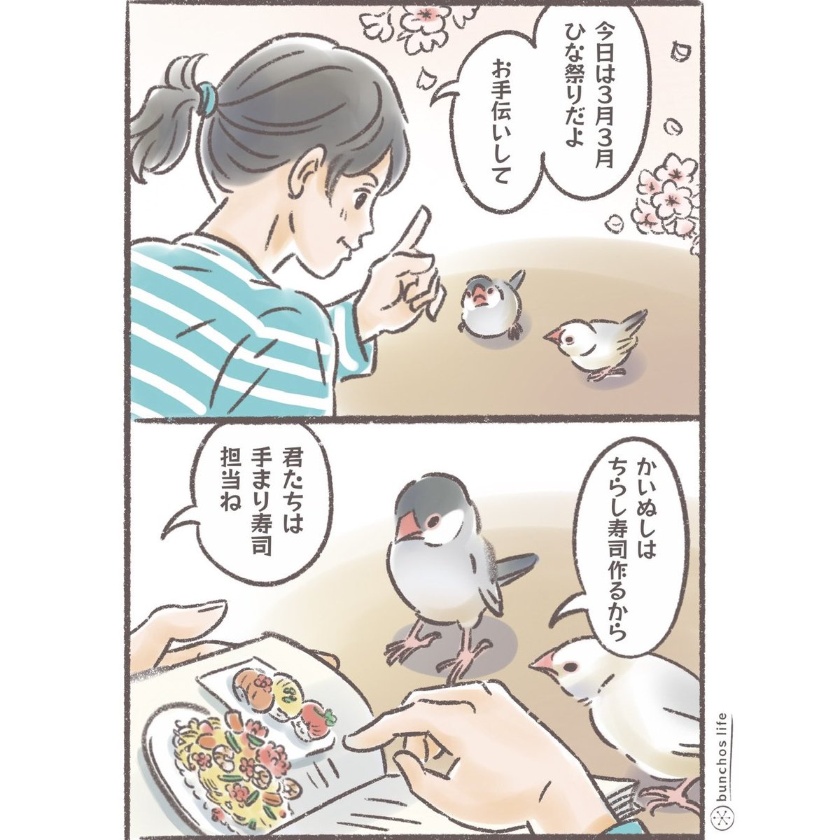 ひな祭りなので可愛い手まり寿司をお届け✨
#文鳥 
#4コマ漫画 