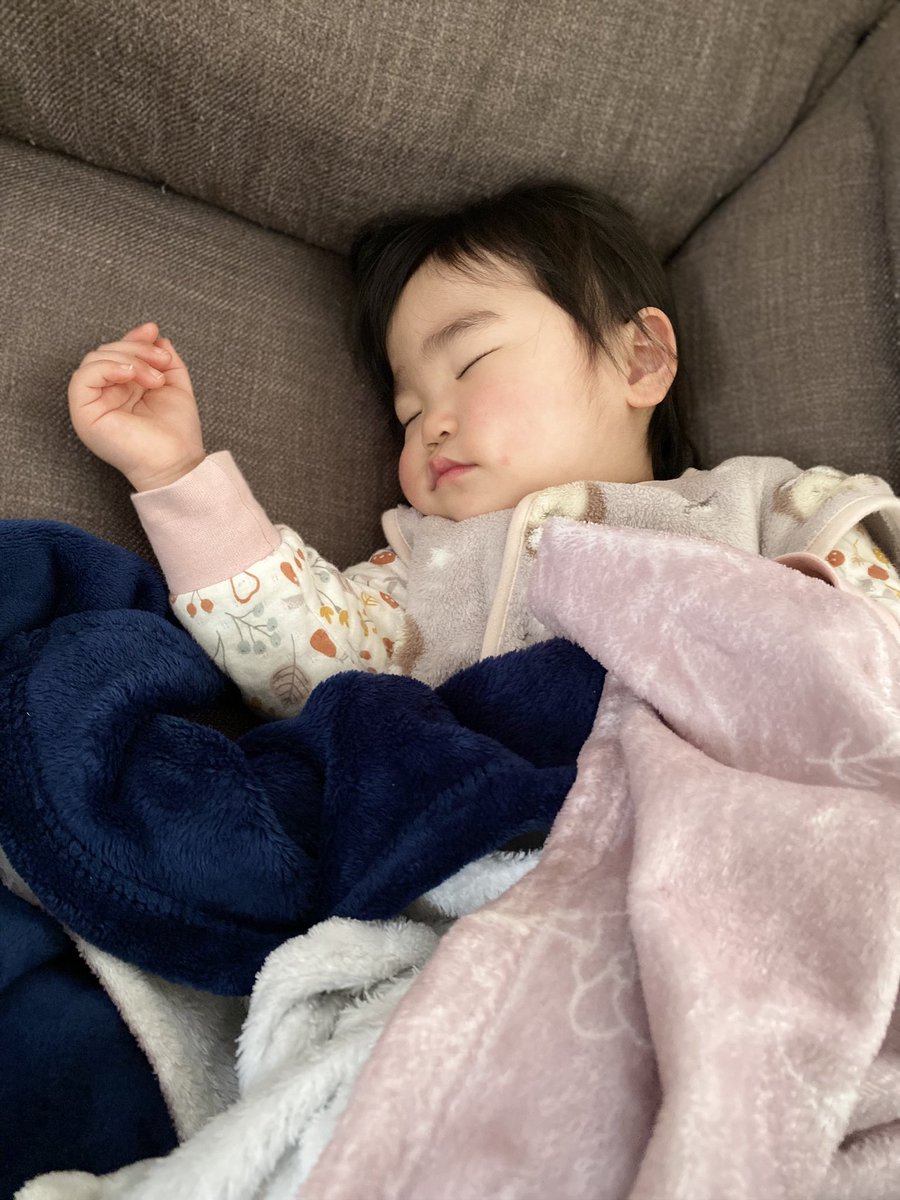 パンちゃんとナギさん5y&スイさん1y (@panchanbaby) / Posts / X