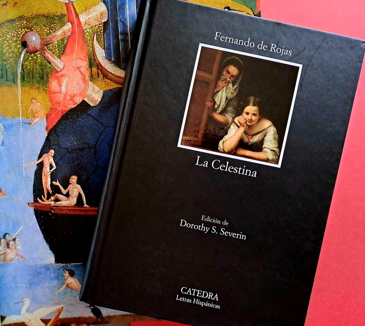 Ado Rosa tweet media