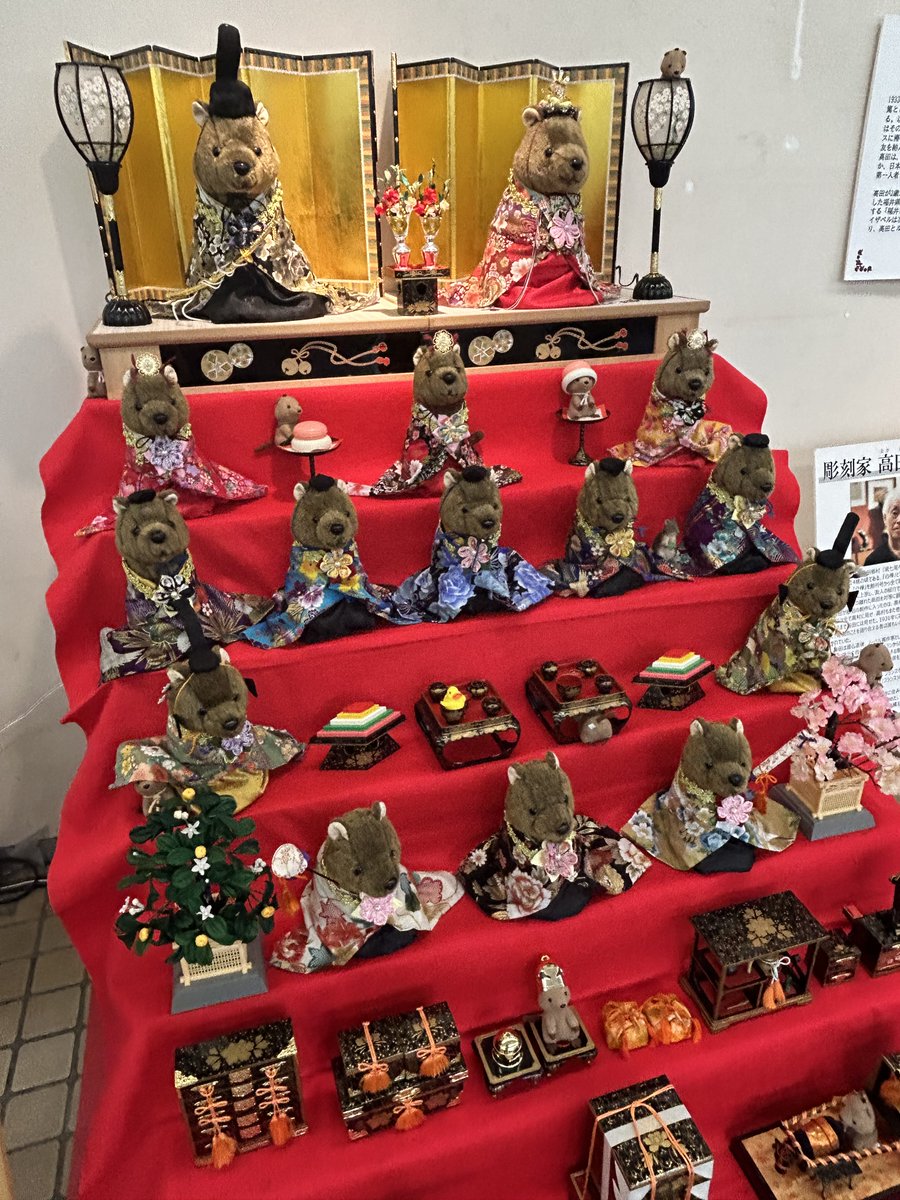 いこっか！くおっか！ひなまつり✨】 昨年大好評「クオッカひな壇」を