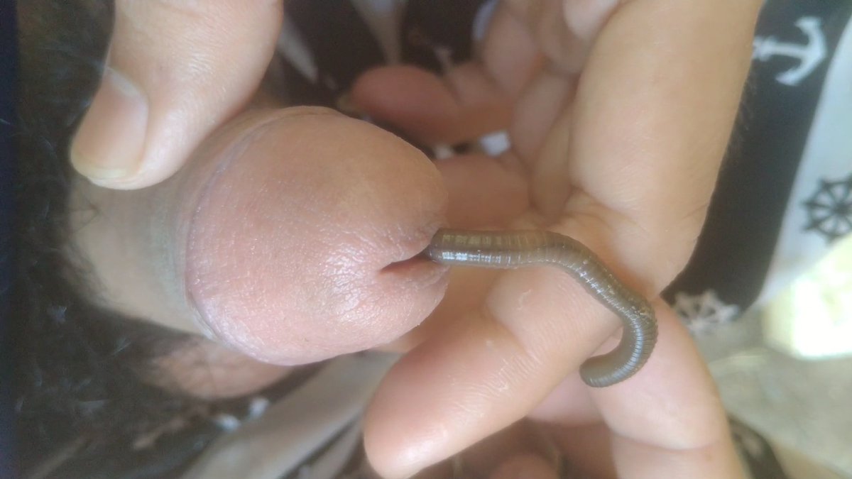 boiled eggs tweet media