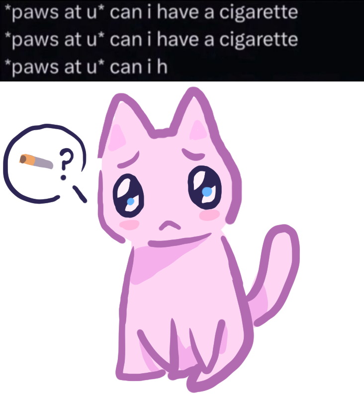 ghosty .. ꒰ᐢ. .ᐢ꒱₊˚⊹ tweet media