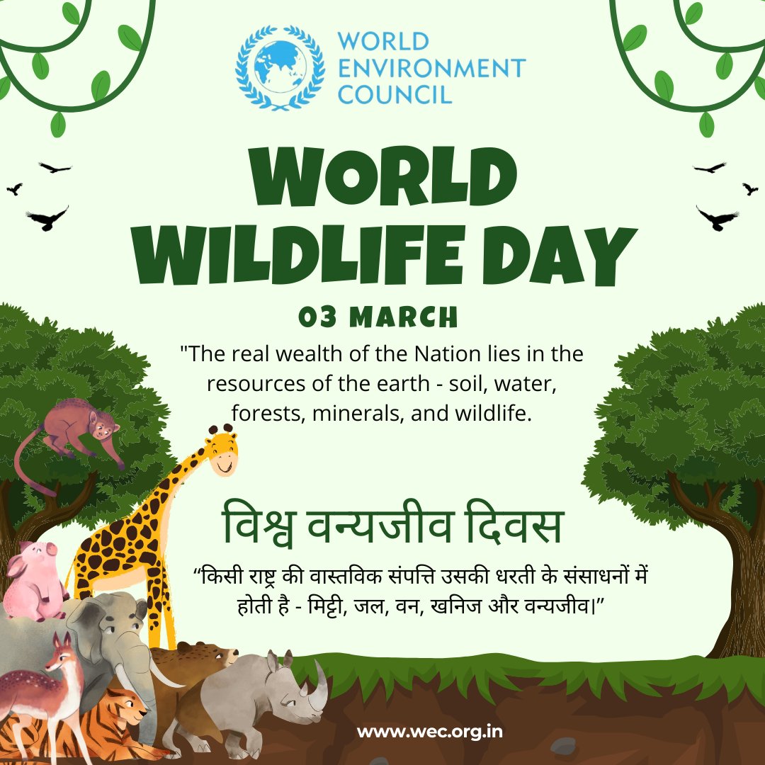 World Environment Council tweet media