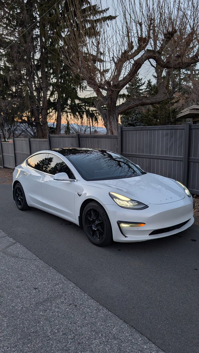 CheapTeslas tweet media