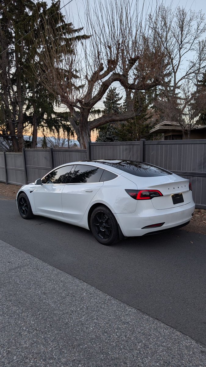 CheapTeslas tweet media