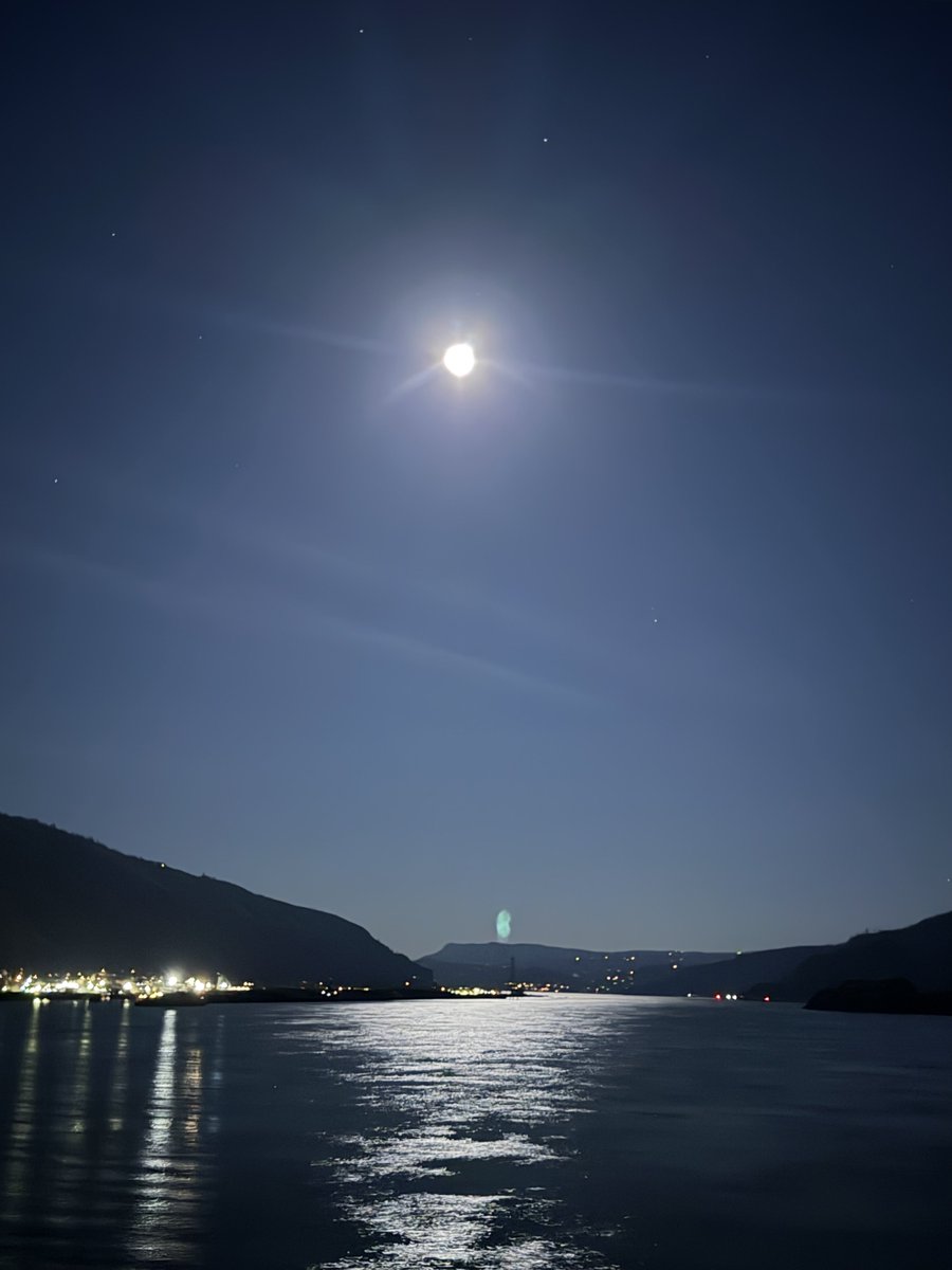 margo_amala's tweet photo. Moon rise: she prepares to be eclipsed later tonight… https://t.co/vOlzz3KnXo