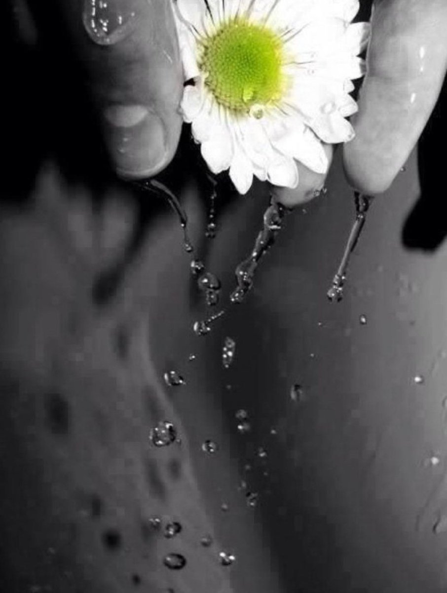 Usted no sabe lo que daría por darle ese beso al final de su lluvia y decirle en un susurro: "te amo, amor mío".