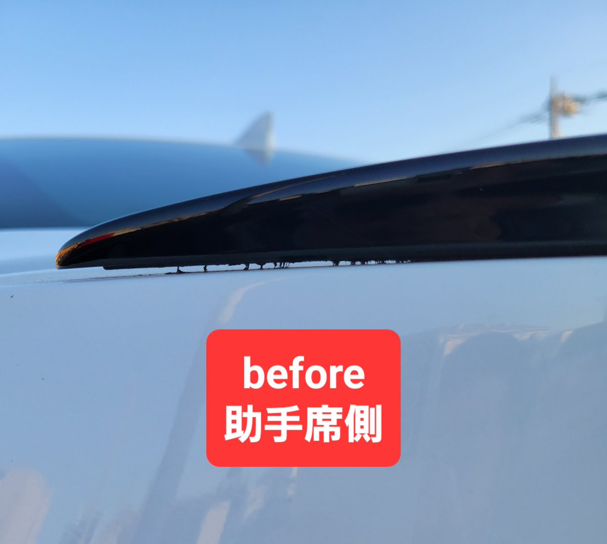 おひとりさま@趣味垢 tweet media