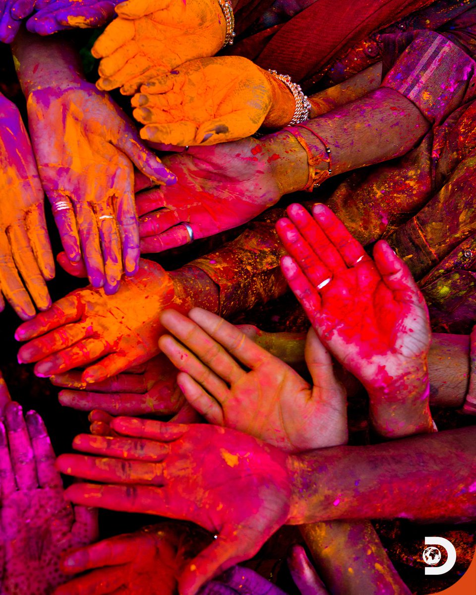 Discovery Channel India tweet media