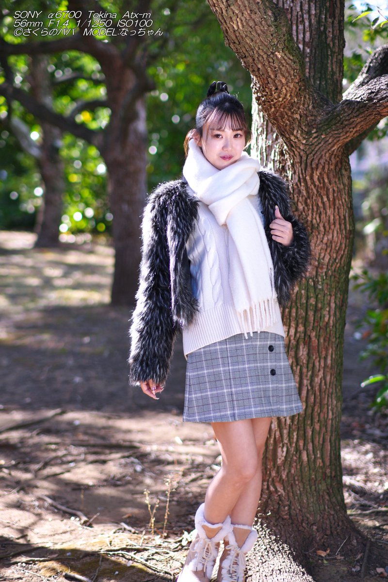 なっちゃん ⑰20260111(青海南ふ頭公園他) (@nachan__64) まだまだ続く