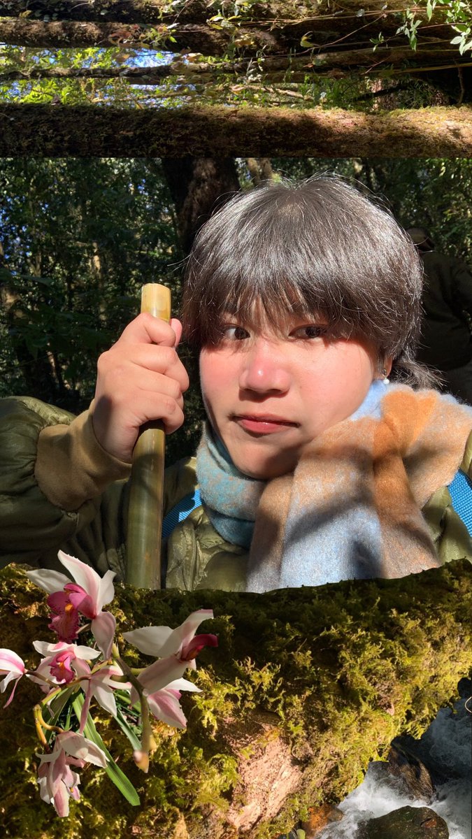 ⁺ ◟ εїз kluy . ꙳ ⋆ tweet media