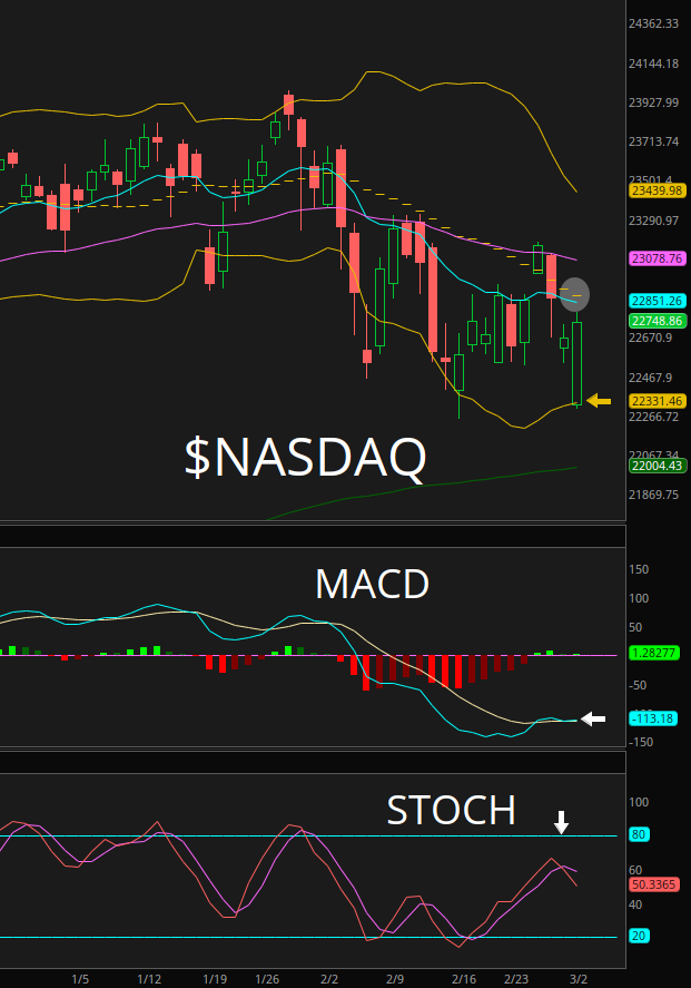 ChartingKatrina❤️🔥🎀 tweet media