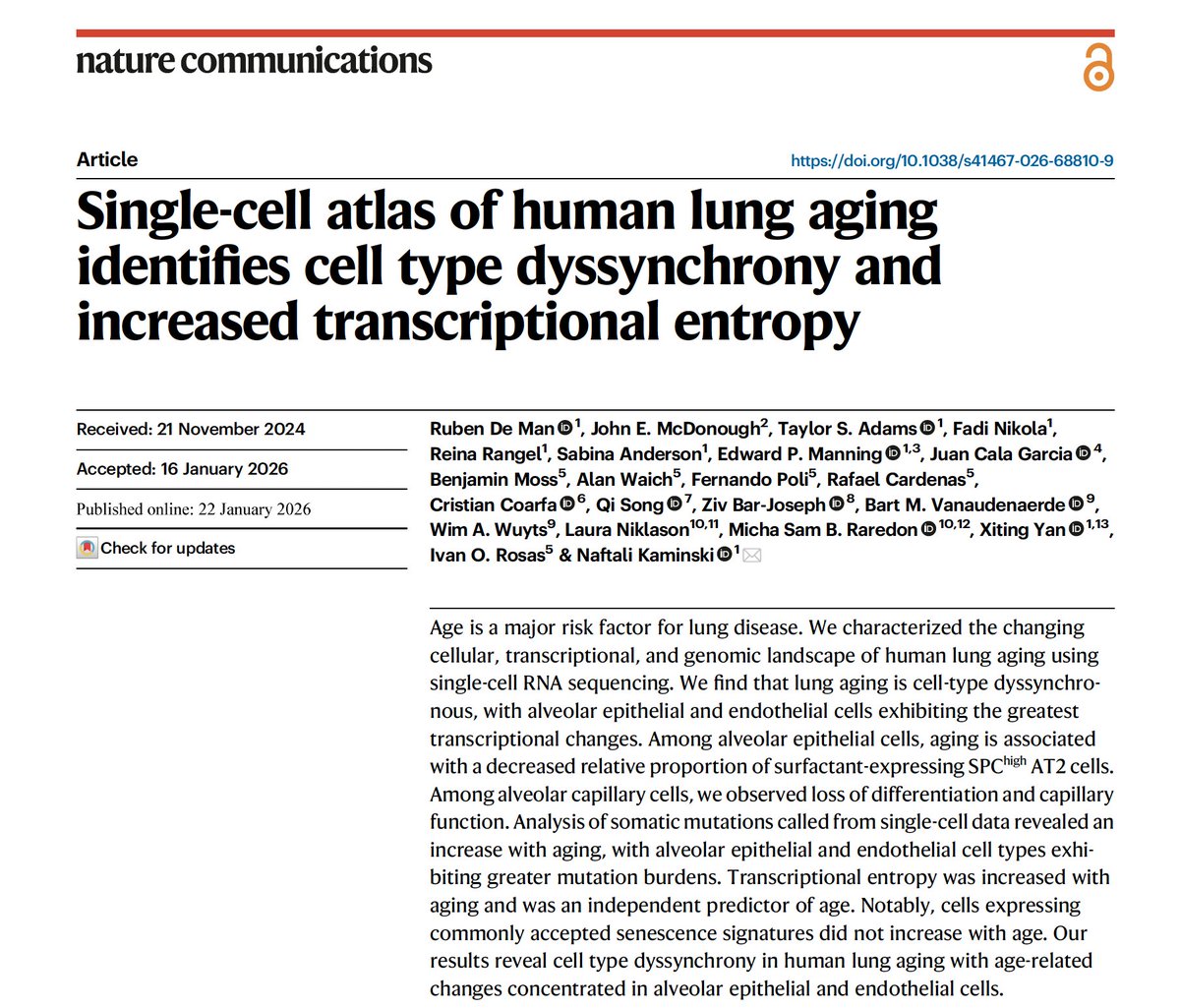 Naftali Kaminski tweet media