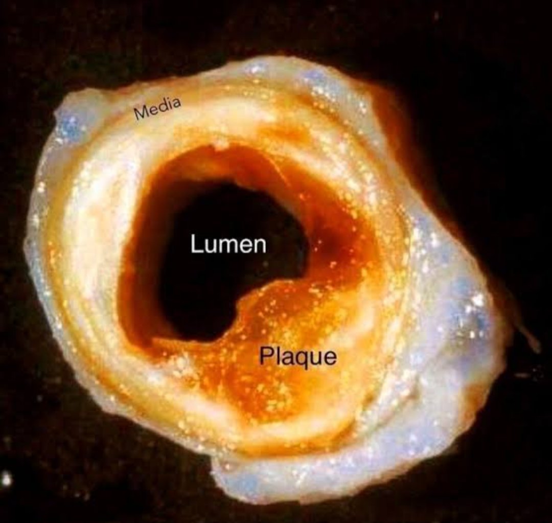 Dr. Priyam Bordoloi tweet media