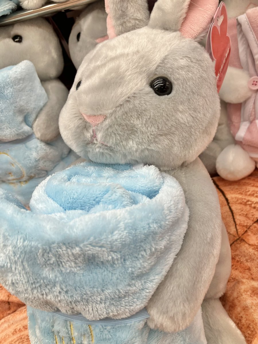 タイトー限定 プライズ ブランケット付 ぬいぐるみ いっしょにお昼寝 6種セット タイトー限定 プライズ ブランケット付 ぬいぐるみ いっしょにお昼寝 6