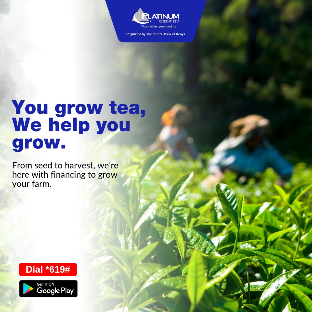 PlatinumCKenya's tweet image. You can use tea for more than just warmth, your tea can help you expand your farming business and much more! Get an Agri-financing loan to grow your tea farm today by dialing *619# or call 0709 900 000 / 0730 900 000

#PlatinumCares #WezeshaNaPlatinum #credit #agrifinancing