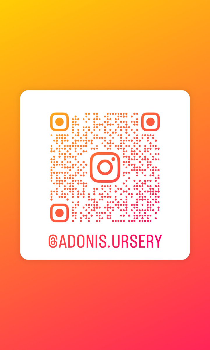 AdonisUrsery's tweet photo. https://t.co/lHoVrfs1IC https://t.co/QHY4MMF6Mw