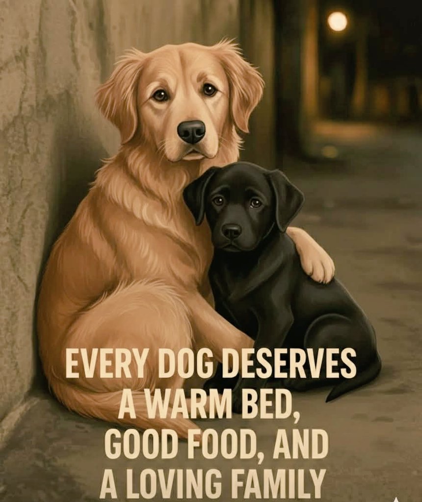 Popularpuppies3's tweet photo. https://t.co/A1fsst9yE9