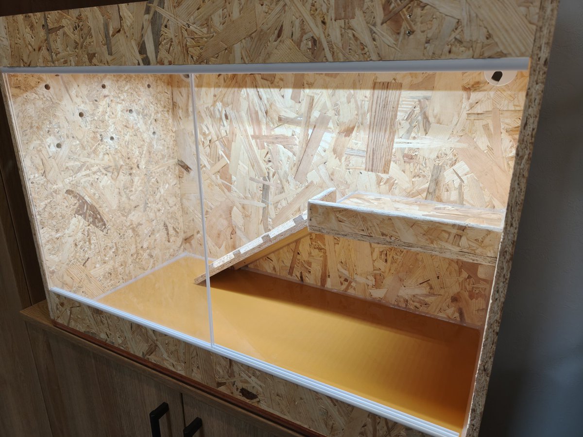 ストケス同居用の新ケージ✨️ いつもお世話になっているyuma爬虫類