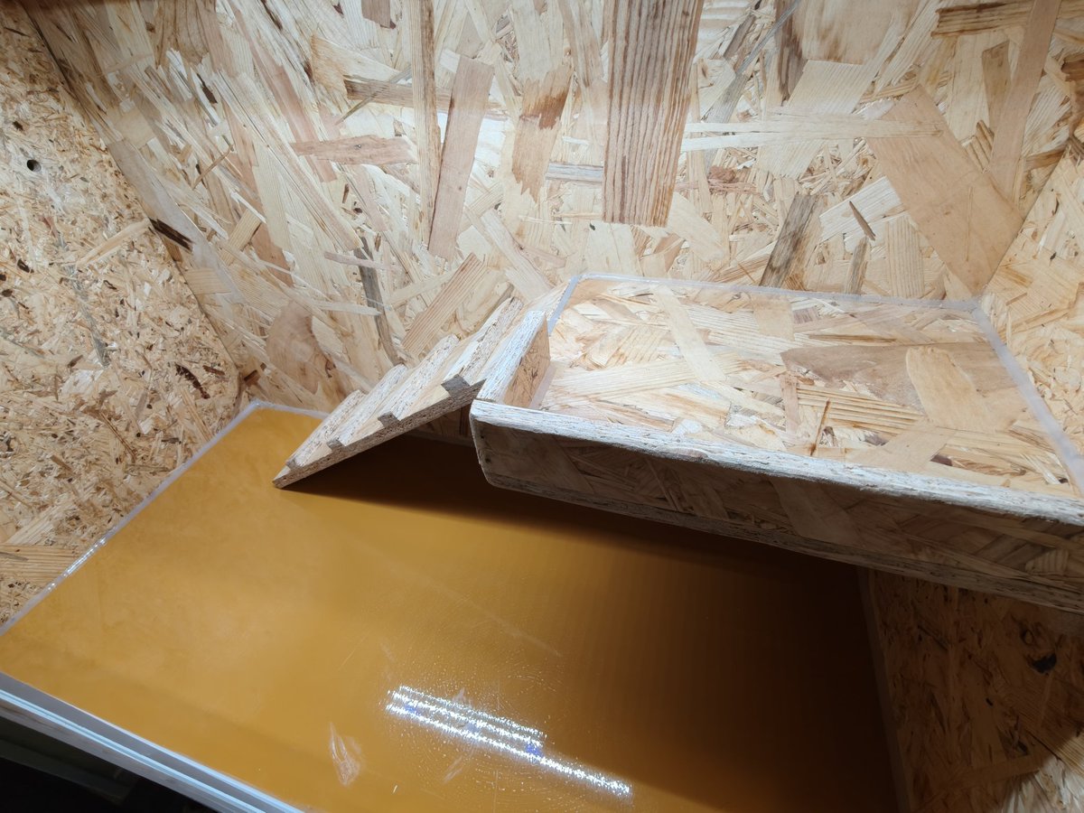 ストケス同居用の新ケージ✨️ いつもお世話になっているyuma爬虫類