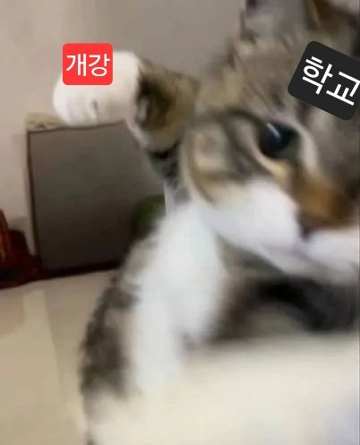 최근에 우울해서 집에만 있는~ 활자공간💬 tweet media