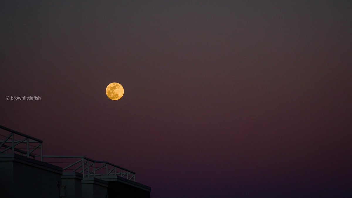 brownlittlefish's tweet photo. Omg🤩.We just spotted the Moon from our balcony. Idk, it appears to be slowly turning blood-red https://t.co/CwKIhCKr54 lunar eclipse over the Bay Area. Absolutely unreal. https://t.co/H1J28hmHoU
