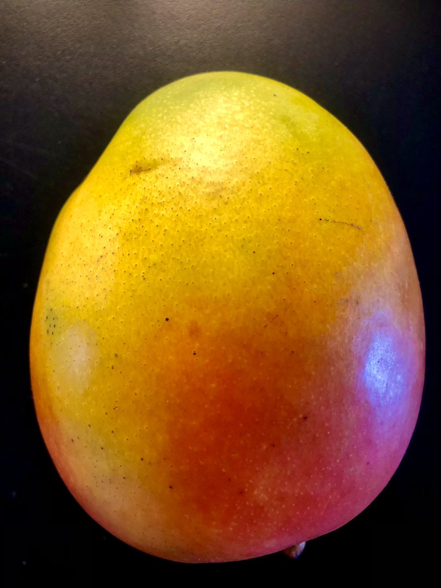 mark obrien tweet media