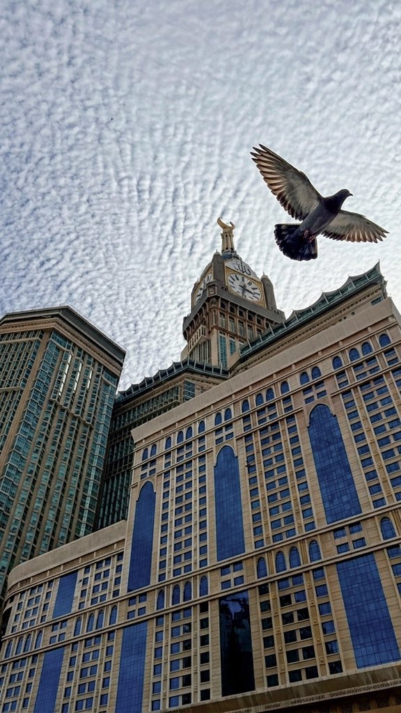 إلتقاطة بالوقت المناسب ❤️