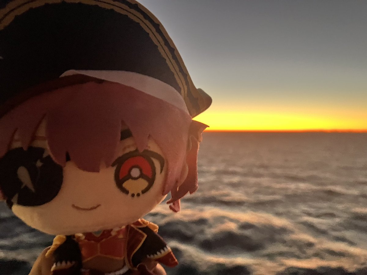 らいち 🚢🏴‍☠️ tweet media