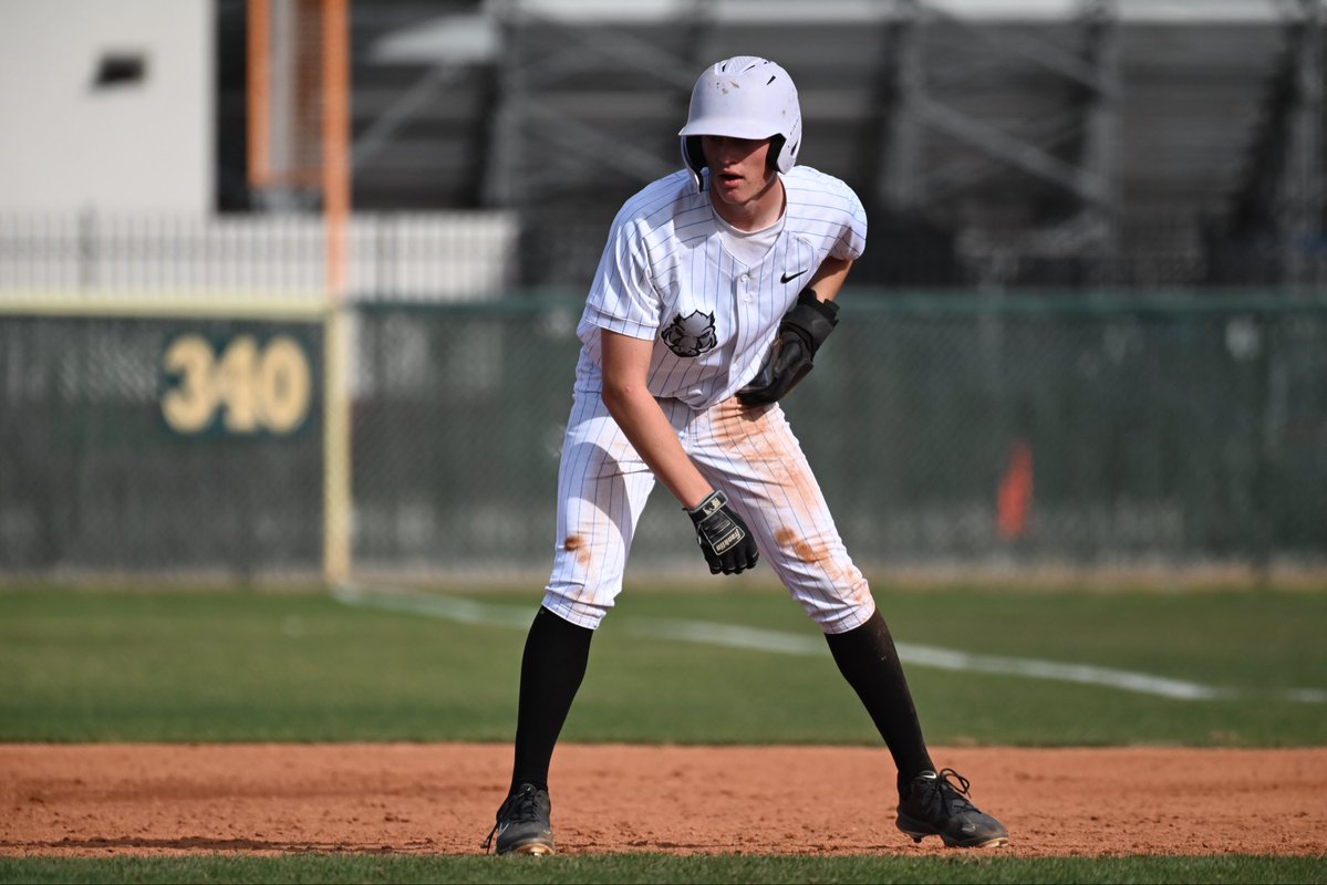 Brady Webster tweet media