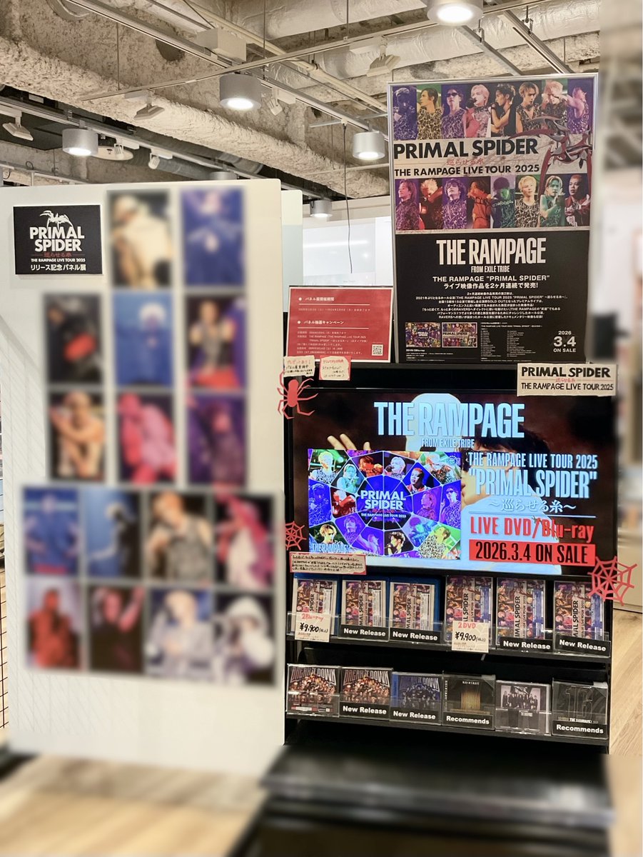 4F DVD&Blu-ray 】 ✦┈┈┈┈┈┈┈┈┈┈┈┈┈┈✦ THE RAMPAGE