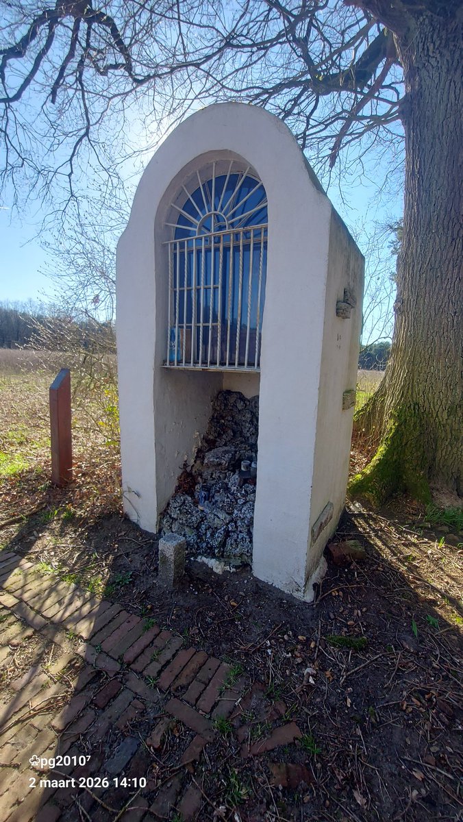 Pieterman tweet media