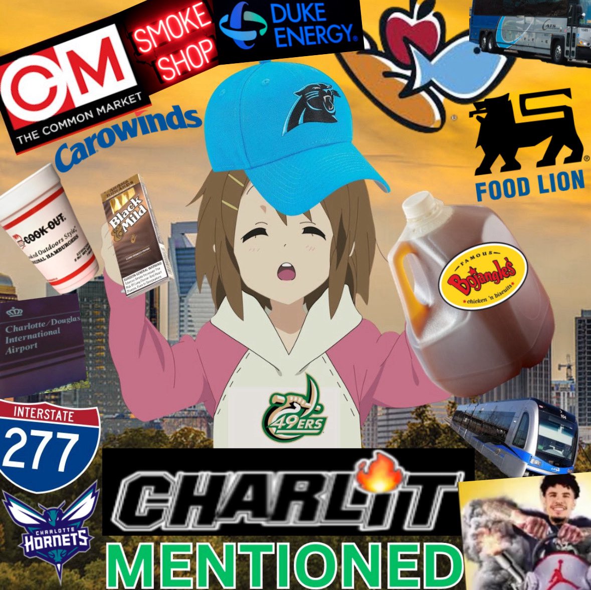 dietchickenwinner tweet media