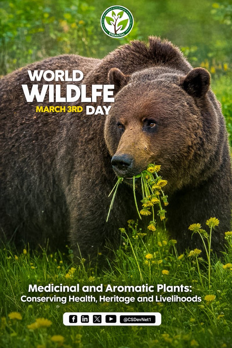 Climate & Sustainable Development Network tweet media