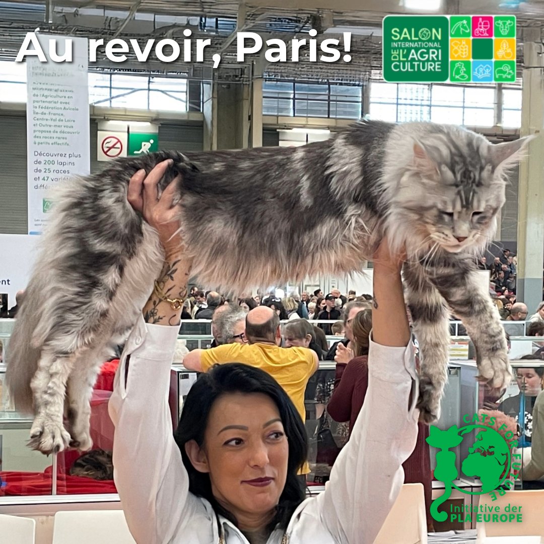 Cats for Future tweet media