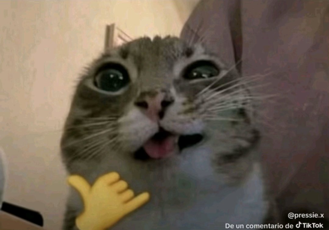 Nobby979 tweet media