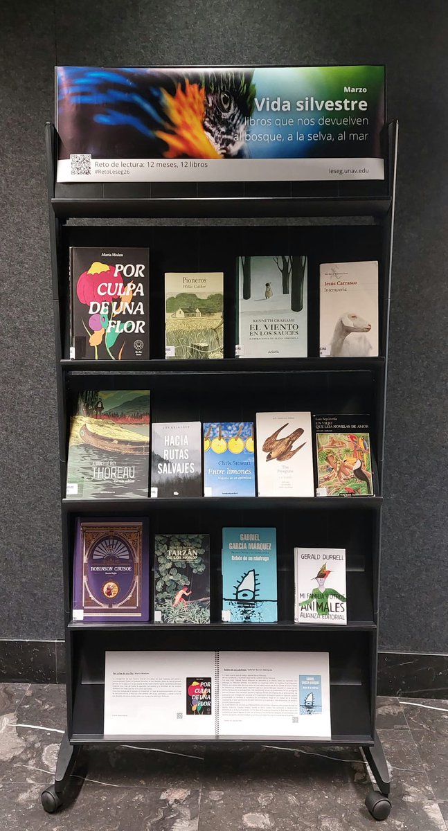 Biblioteca de la Universidad de Navarra tweet media