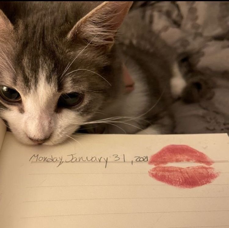 ms. lovergirl, 랑이! ♥︎ tweet media