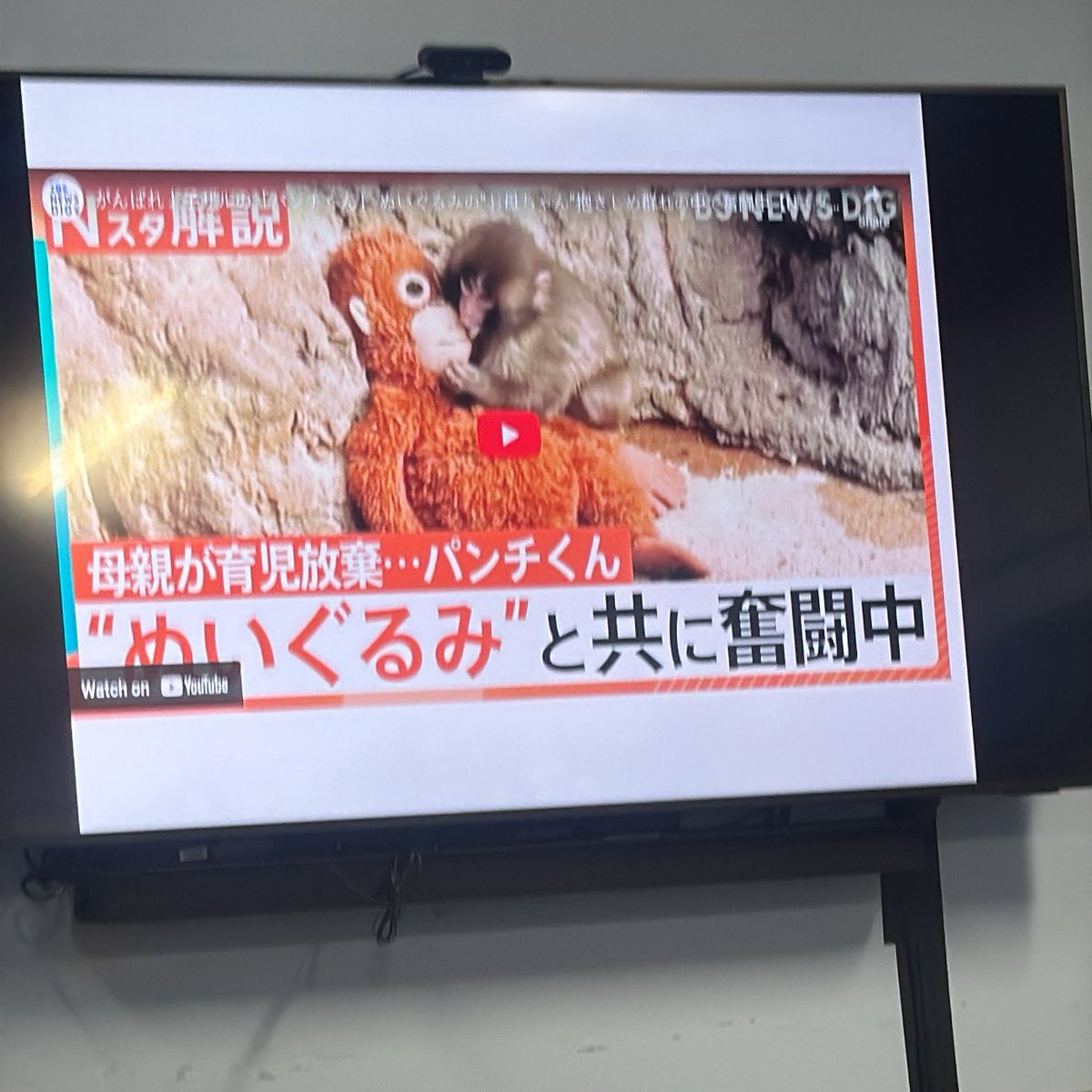 谢谢你人类👎🏿
