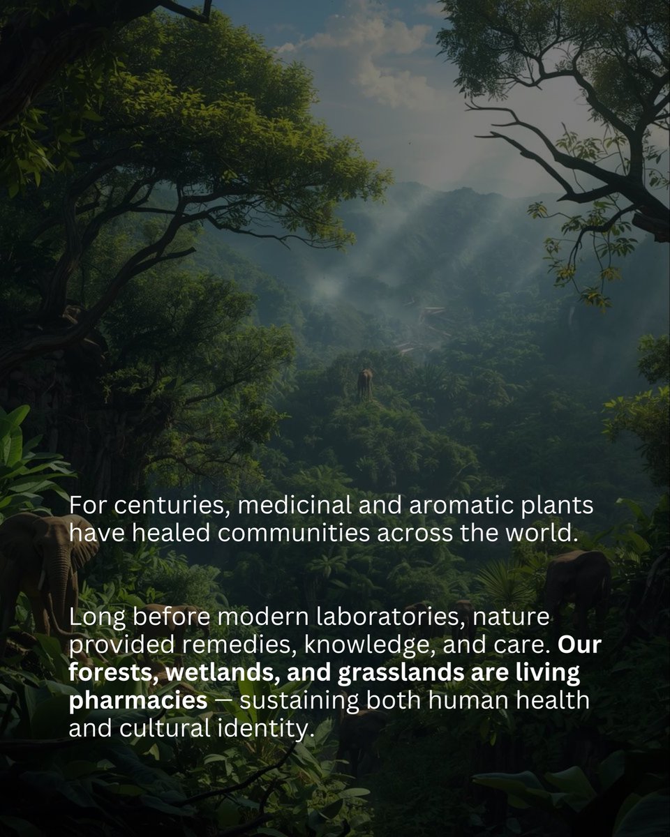 The Green Protector tweet media