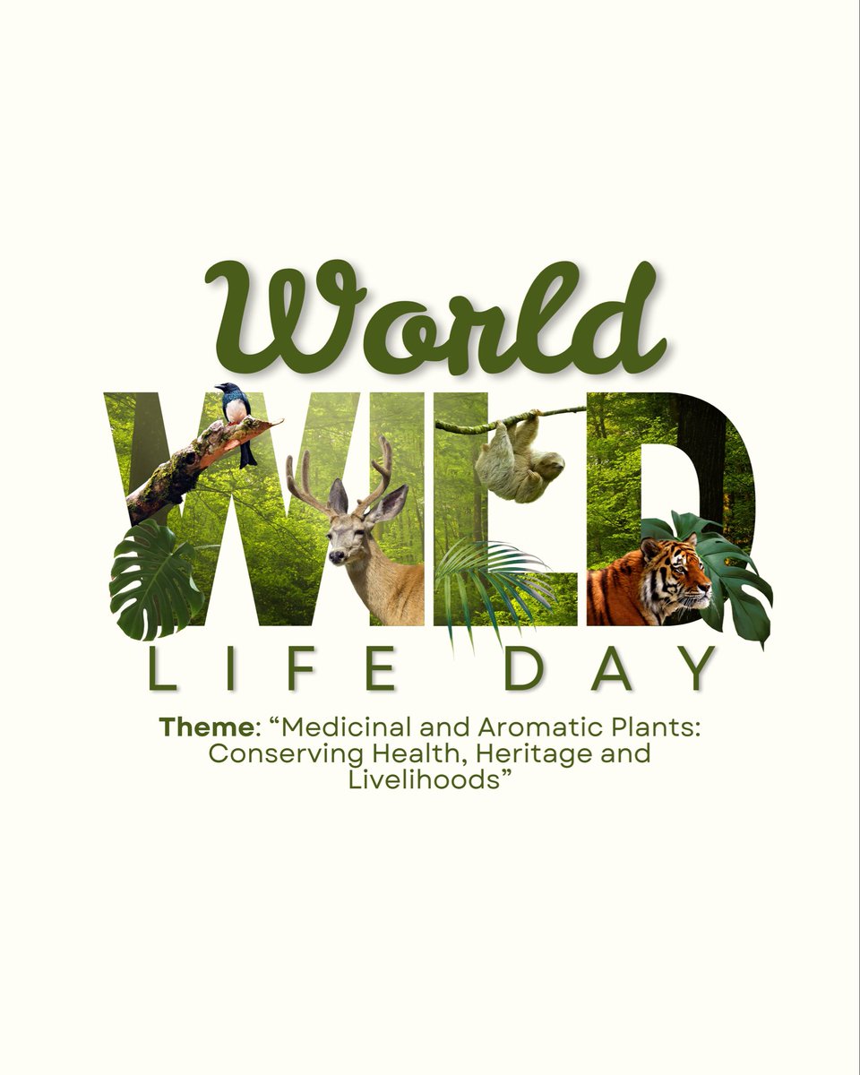 The Green Protector tweet media