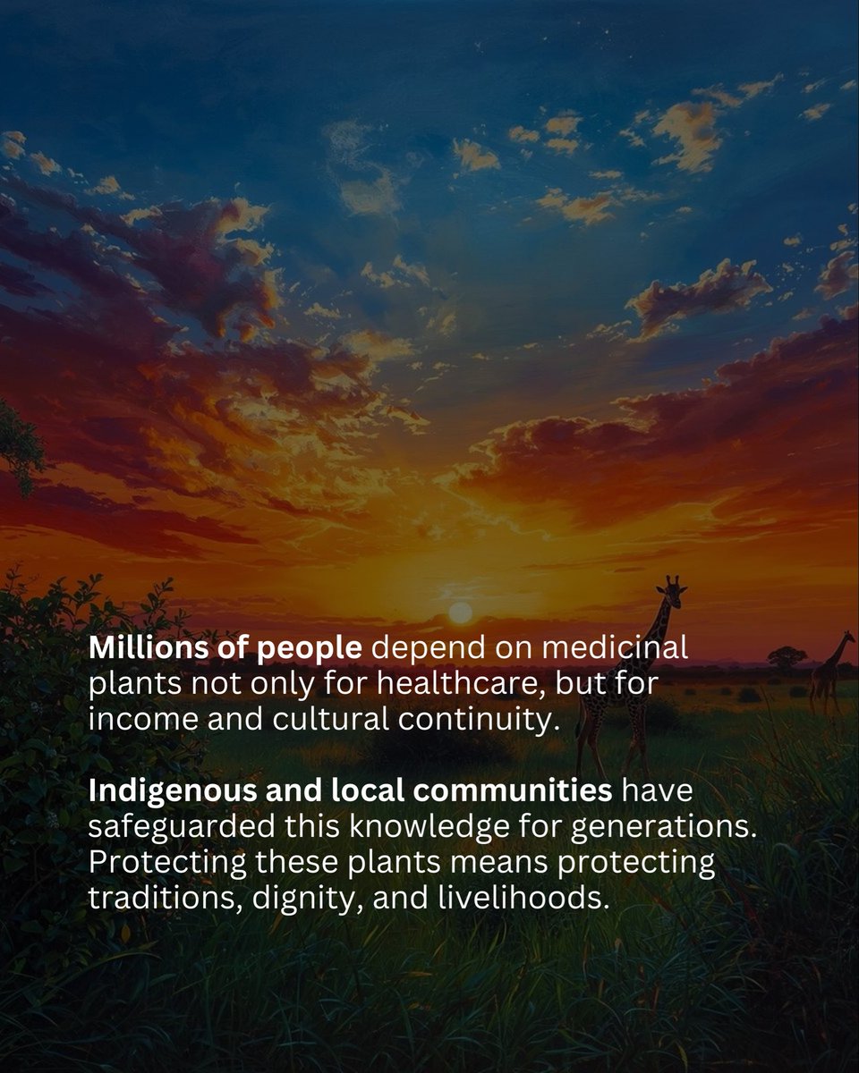 The Green Protector tweet media