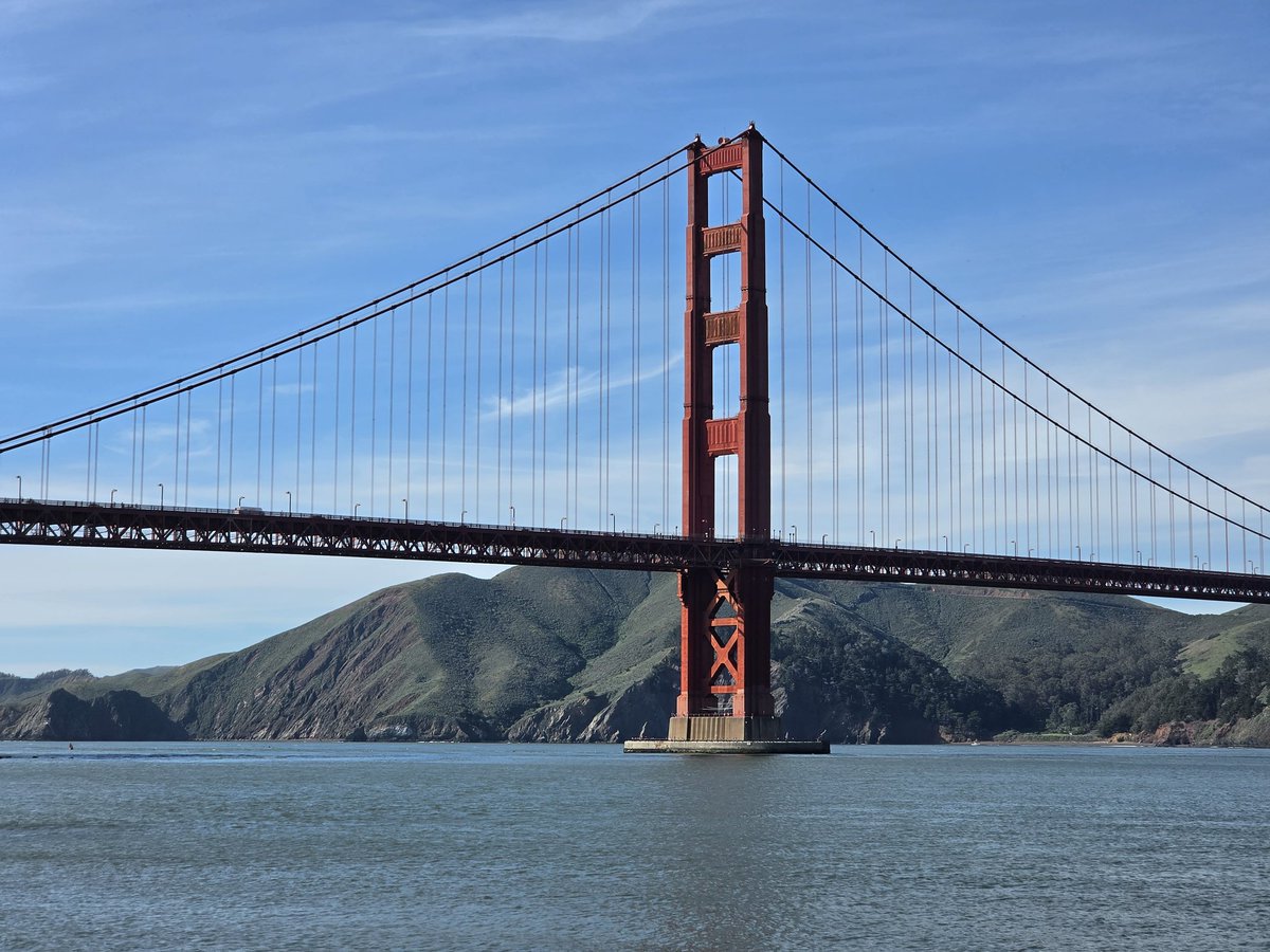 Android Digest tweet media