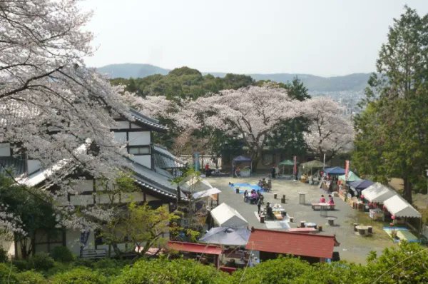 桜の名所・毘沙門堂で、特別早朝拝観しませんか？
ツアーのお客様だけの特別貸切でご案内！
凛とした朝の空気の中、数名だけで味わう、贅沢な時間をお過ごしいただけます😌
マールブランシュ ロマンの森や、“厄除けのお大師さま”として親しまれる笠原寺にも訪れます！
詳細：travel.mk-group.co.jp/tourkyoto/bish…